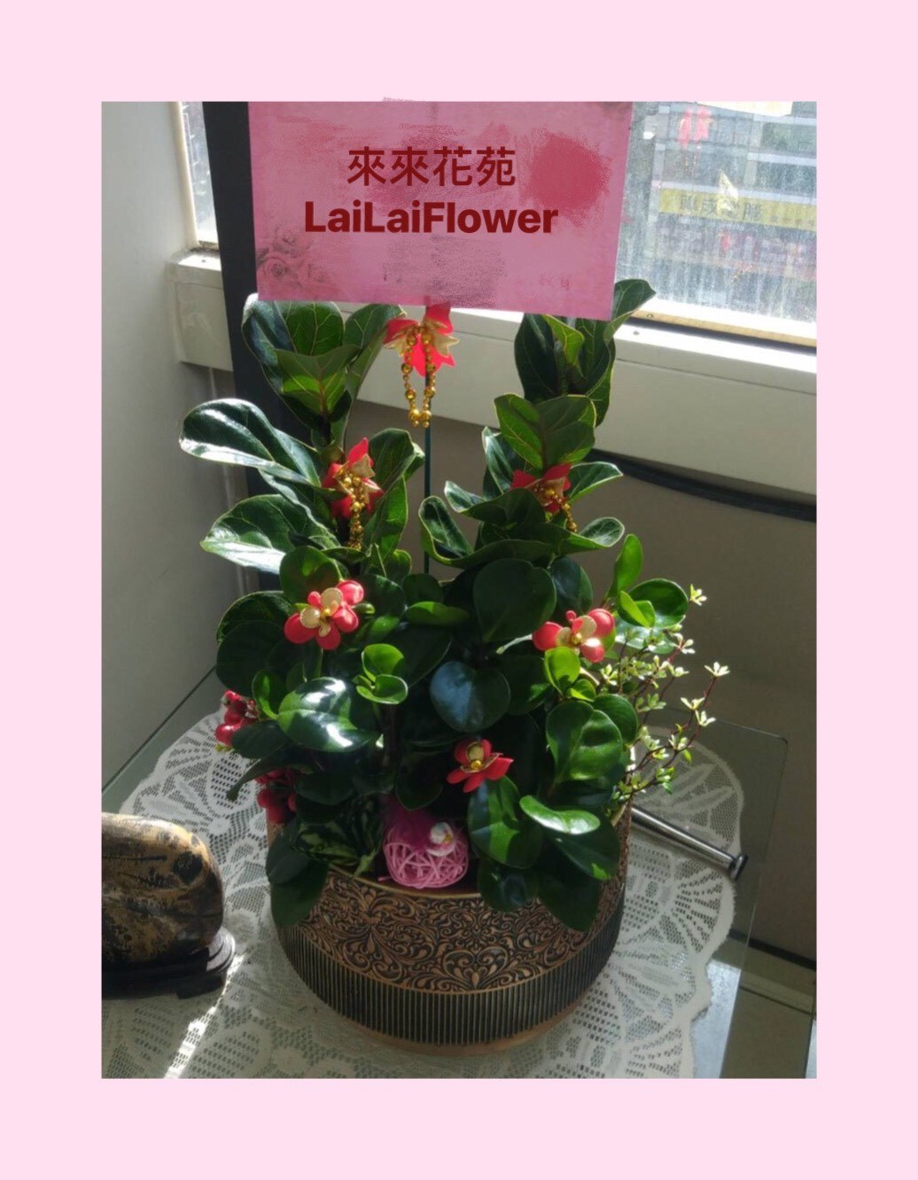 桌上型琴葉榕組合