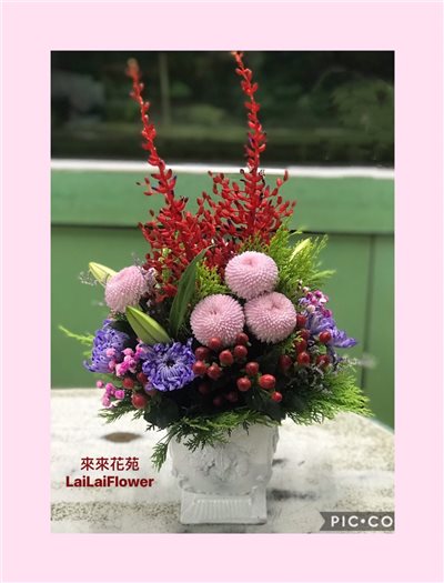 盆花