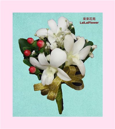 石斛蘭胸花