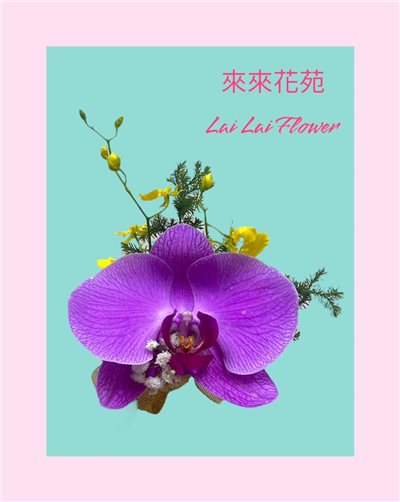 蝴蝶蘭胸花