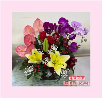 盆花